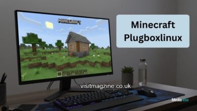 Minecraft PlugBoxLinux