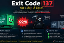 Exit Code 137