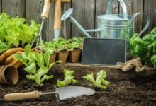 Budget-Friendly Lifestyle Changes