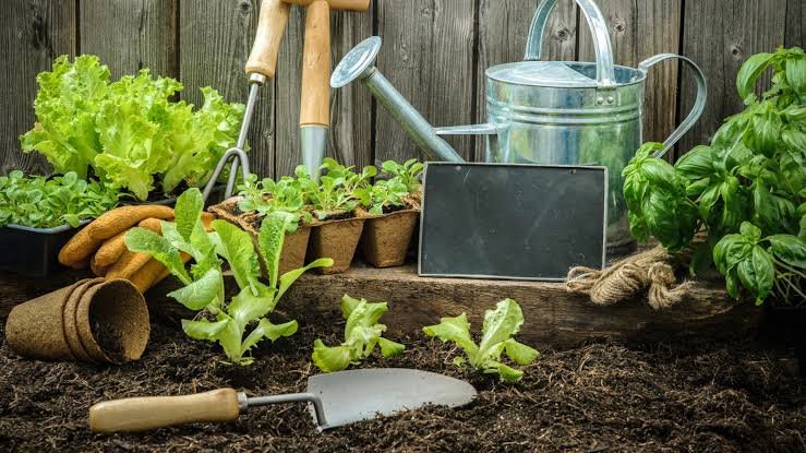 Budget-Friendly Lifestyle Changes
