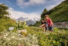 Affordable Holiday Ideas