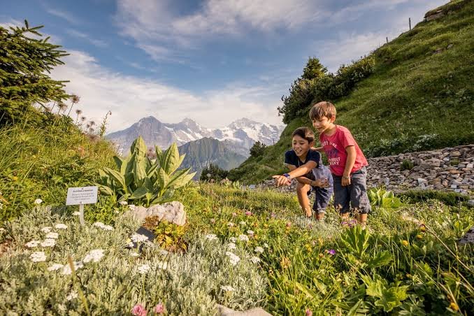Affordable Holiday Ideas